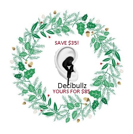 DECIBULZ wireless-done DECIBULZ wireless-done